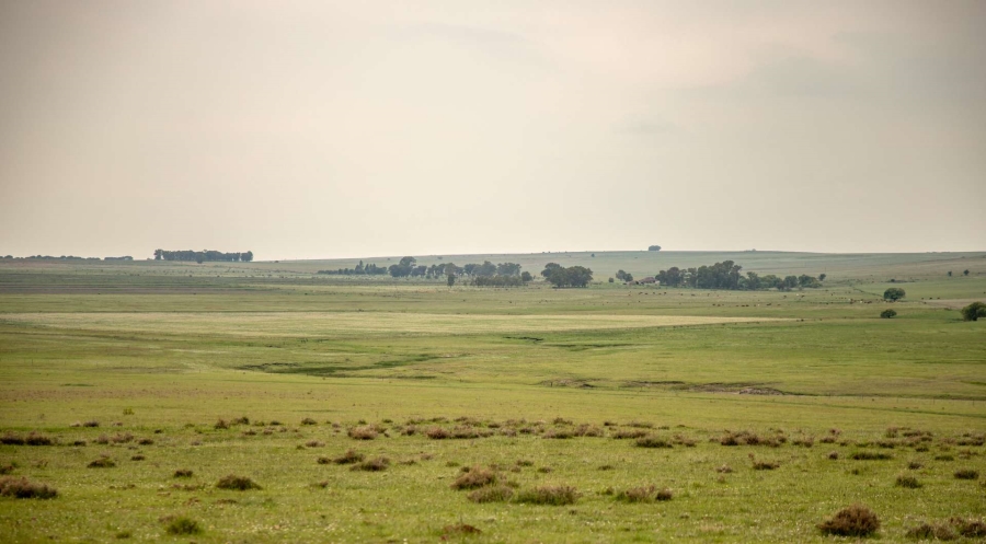 18 Bedroom Property for Sale in Heilbron Free State